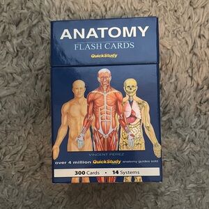 Anatomy Flash Cards Set